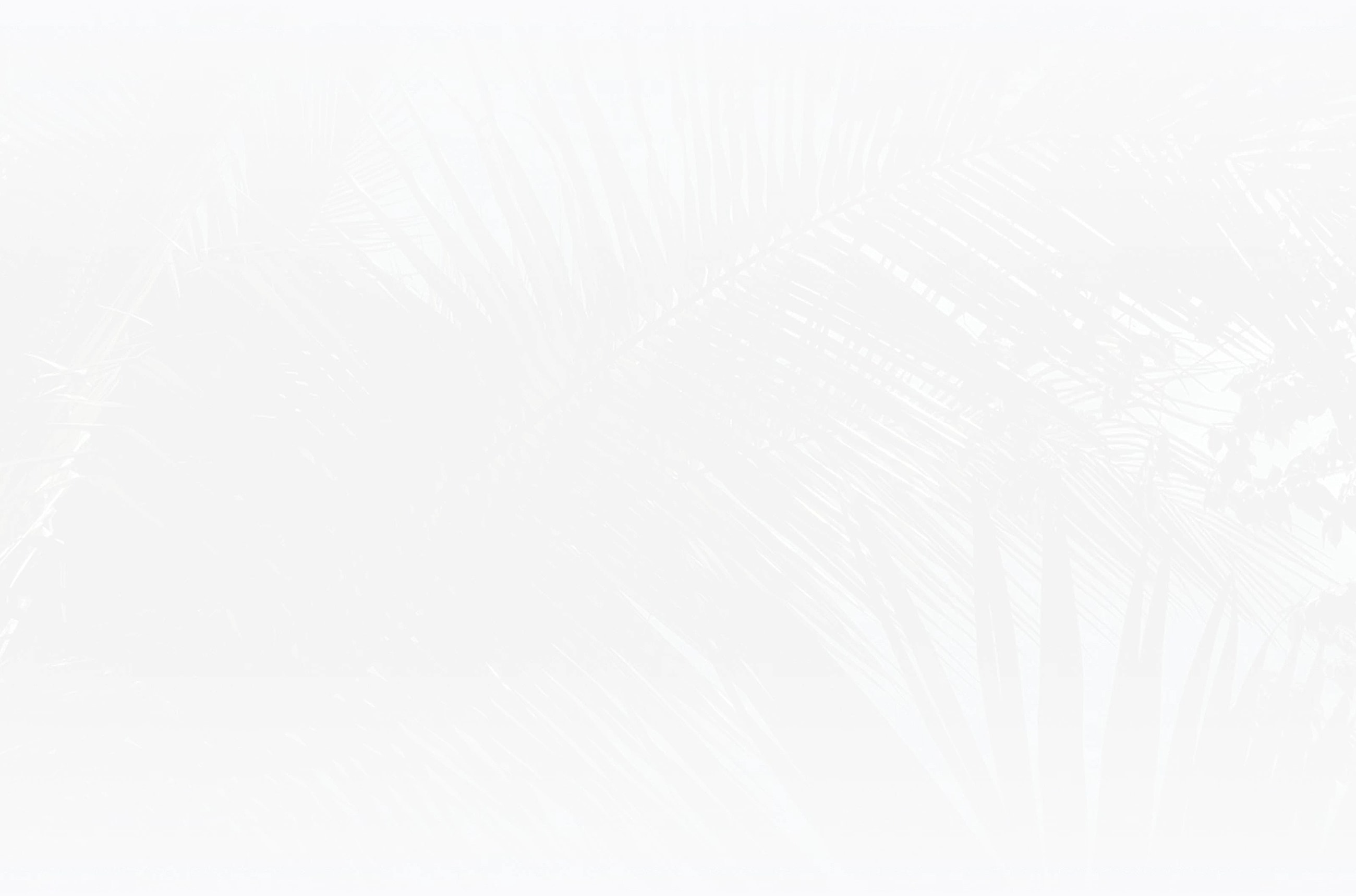 Abstract palm leaf pattern background.